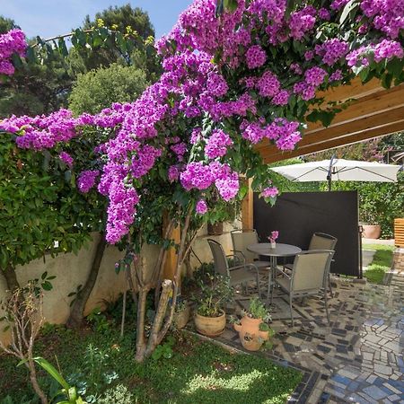 Piccola Pineta Apartment Pula Bagian luar foto